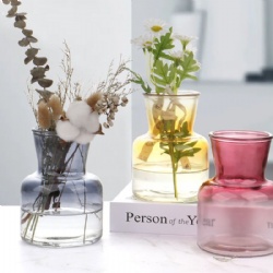 Elegant Spray Finishing Glass Vase