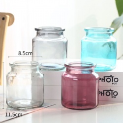 Popular Selling Colored Glass Vase for Spring Season