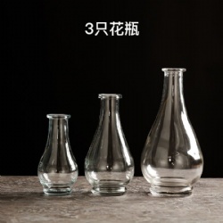 Set of 3 Transparent Glass Vase for Home Decoration