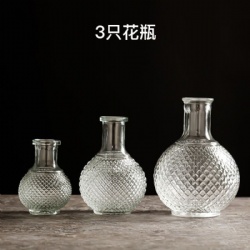 3PCS Transparent Glass Vase popular selling shape