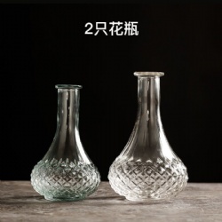 Set of 2 Clear Glass Flower Vase for Home