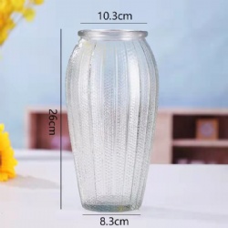 Clear Glass Vase for Home Decoration